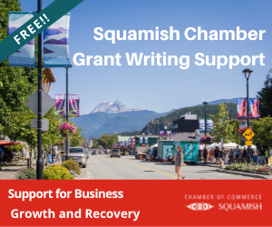 Grant Writing Support Service